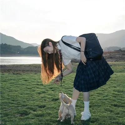 狐狸之声国语